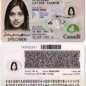 Comprar tarjeta de identificación canadiense en línea: ¿real o falsa?