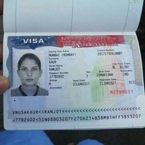 Bleni Vizë Amerikane Online: Informacion Autentik dhe i Rreme